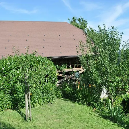 Ana Hočko Pohorje